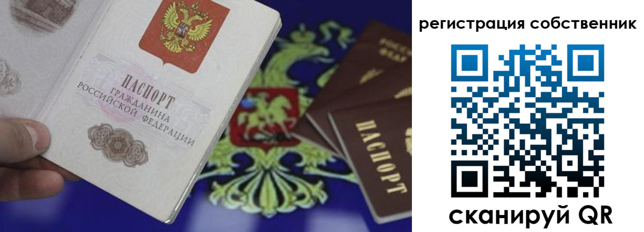 временная регистрация надежно в Коле